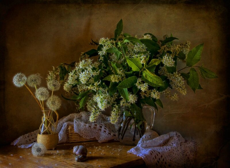 Bouquet of White Flowers — Brown