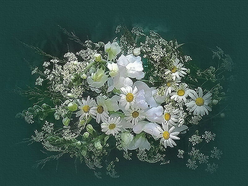 Bouquet of White Flowers — Calm