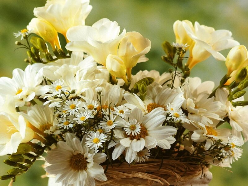 Bouquet of White Flowers — Serene, Spring
