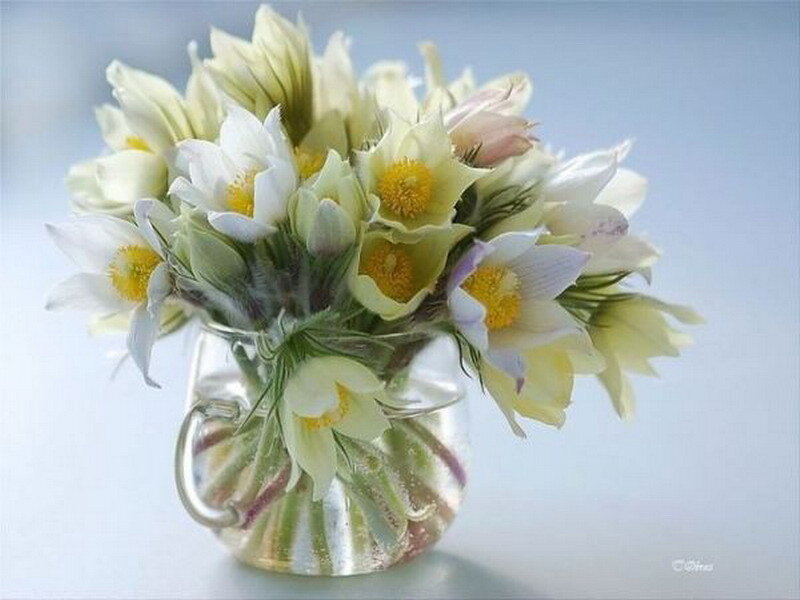bouquet of white flowers