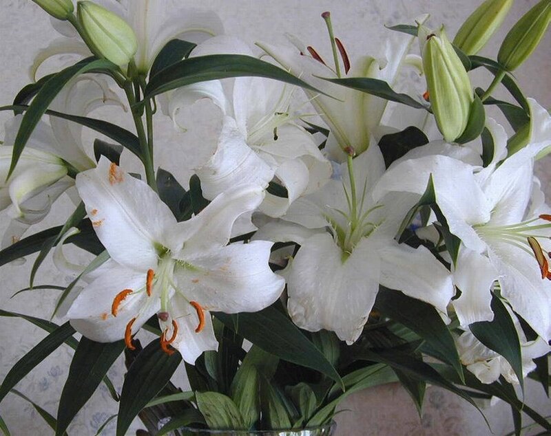 bouquet of white lilies