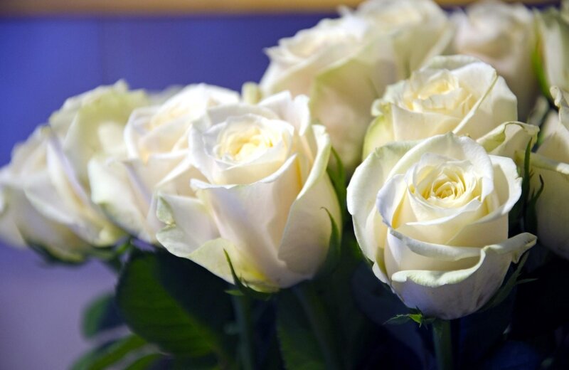 bouquet of white roses