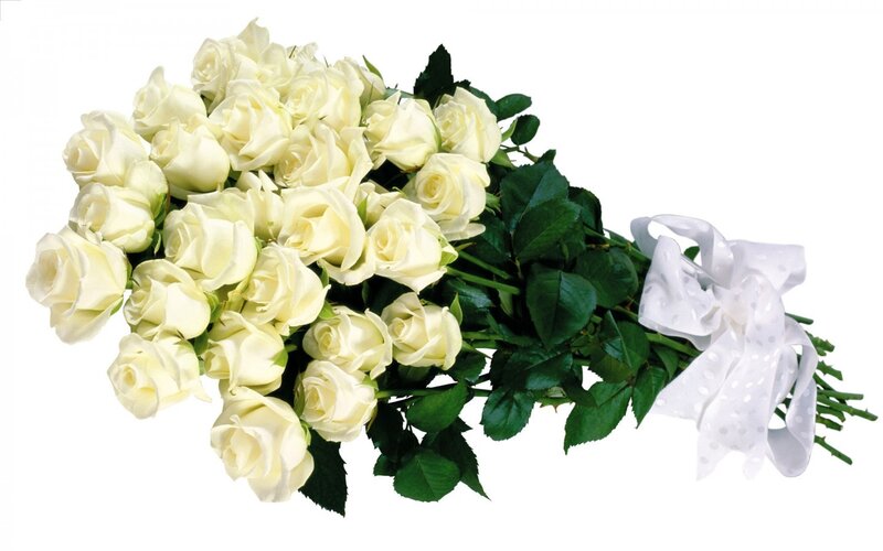 bouquet of white roses