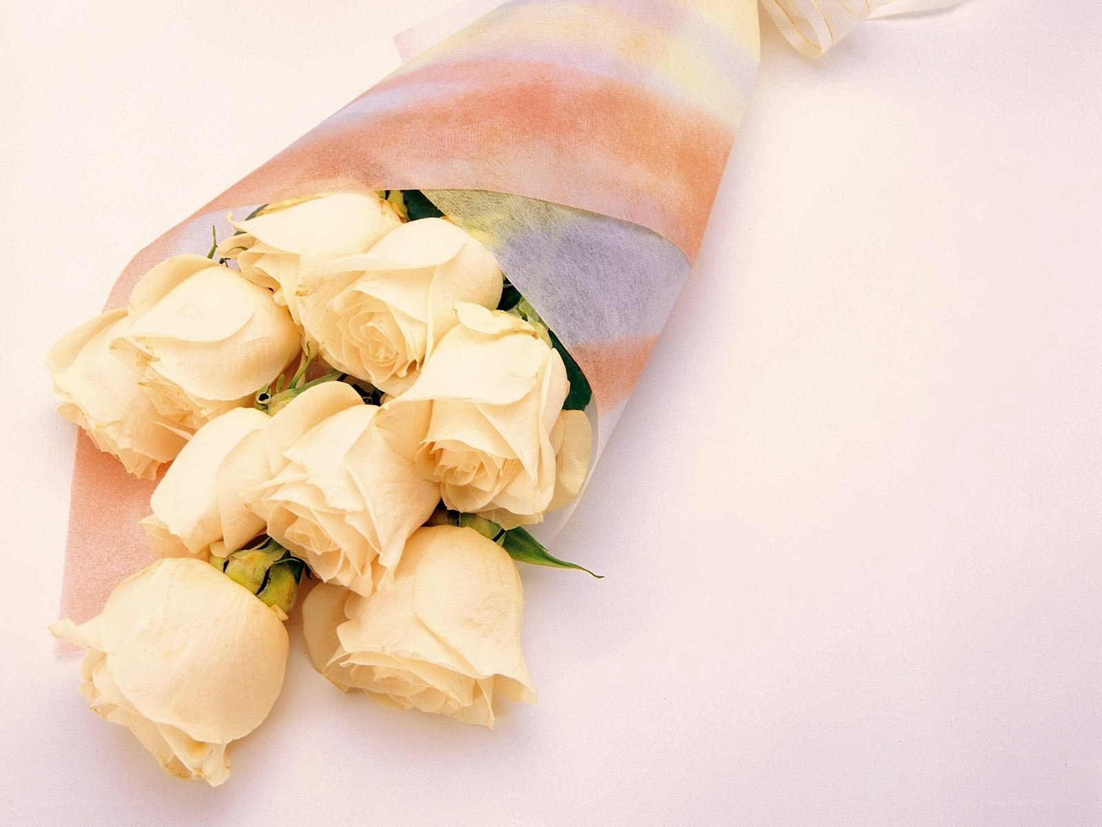 bouquet of white roses
