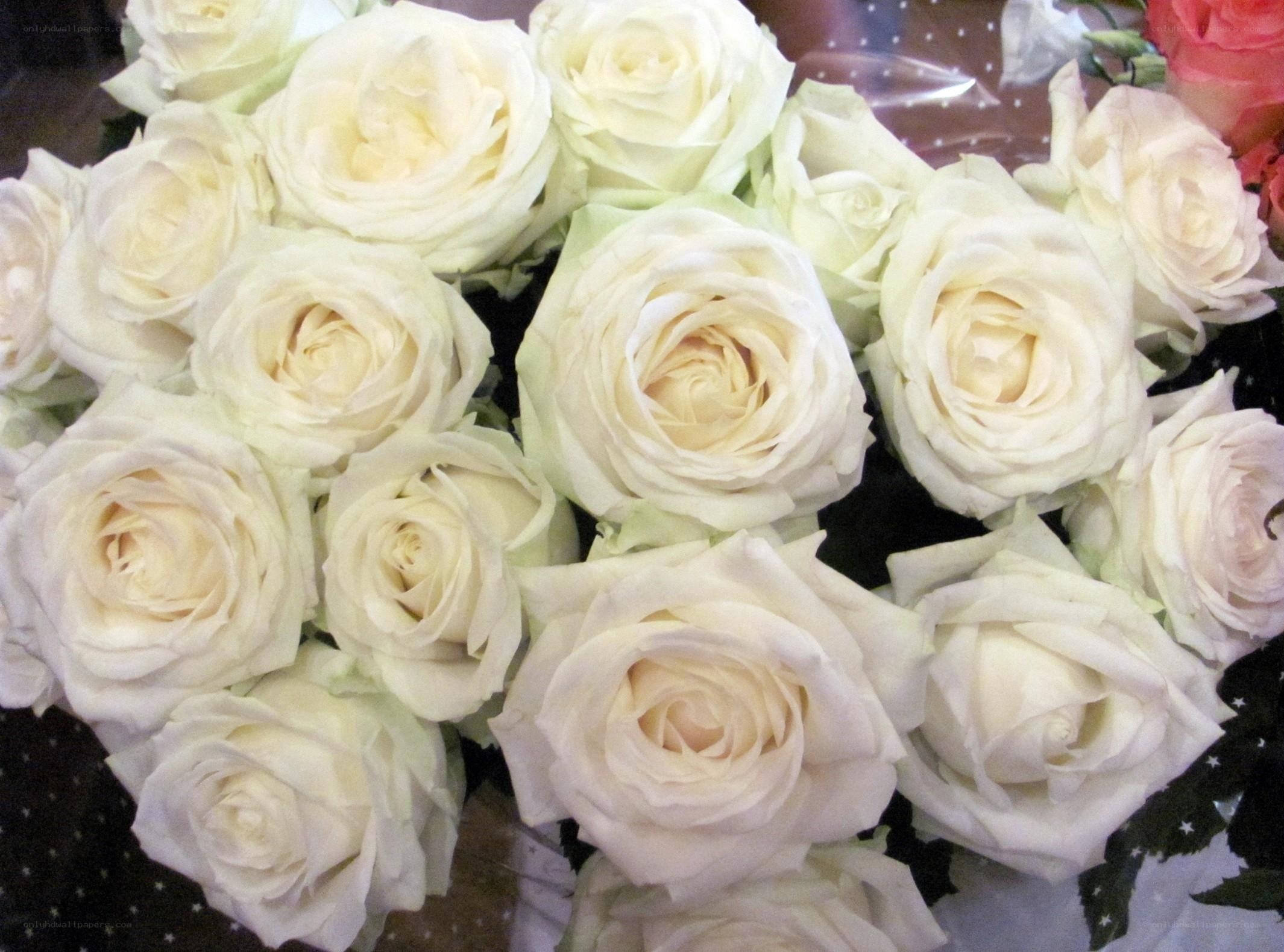 bouquet of white roses