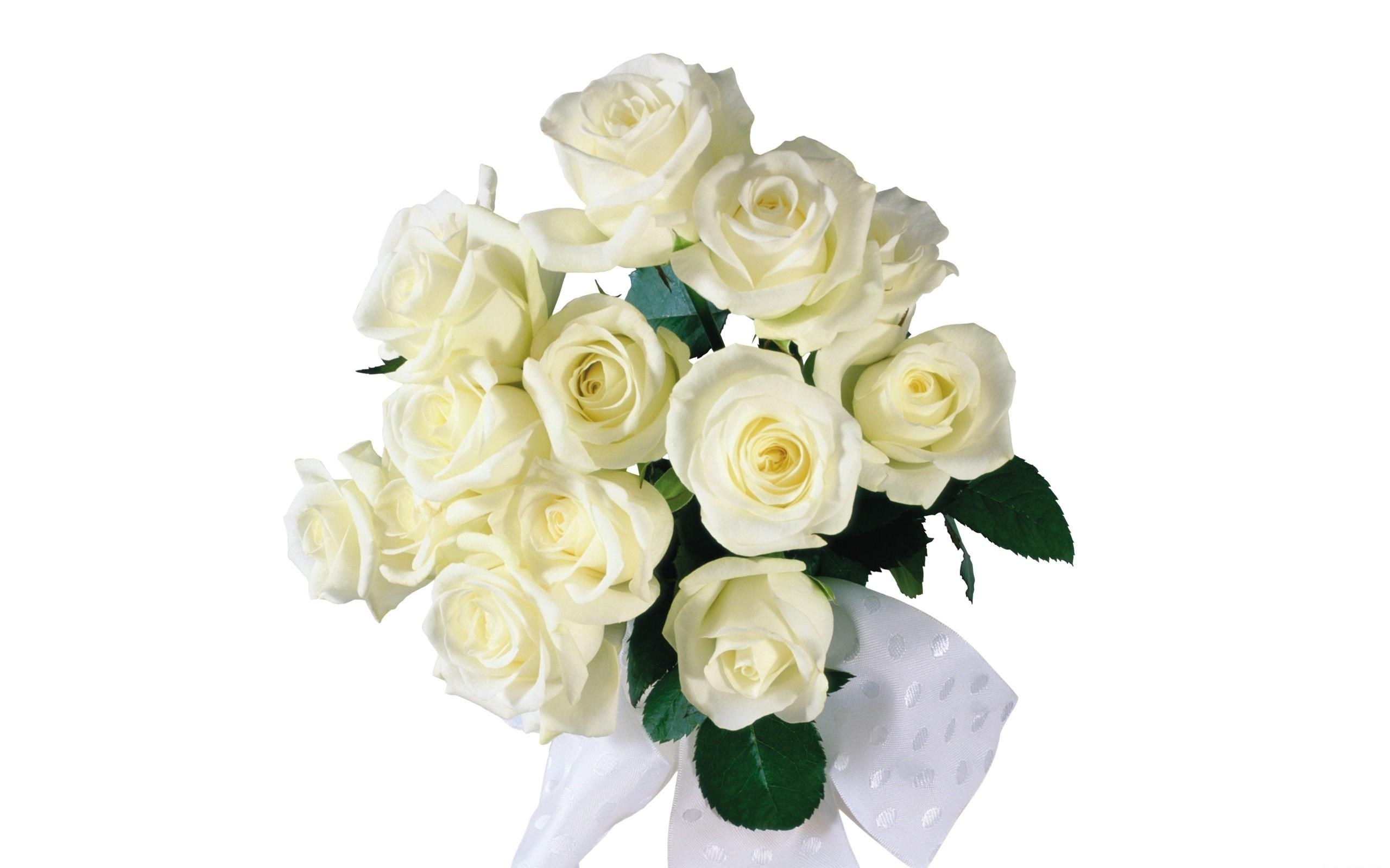 bouquet of white roses