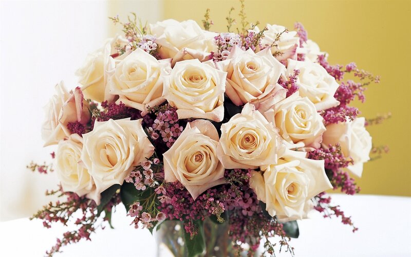 Bouquet of White Roses — Calm, Photograph, Purple Filler Flowers, Green Leaves
