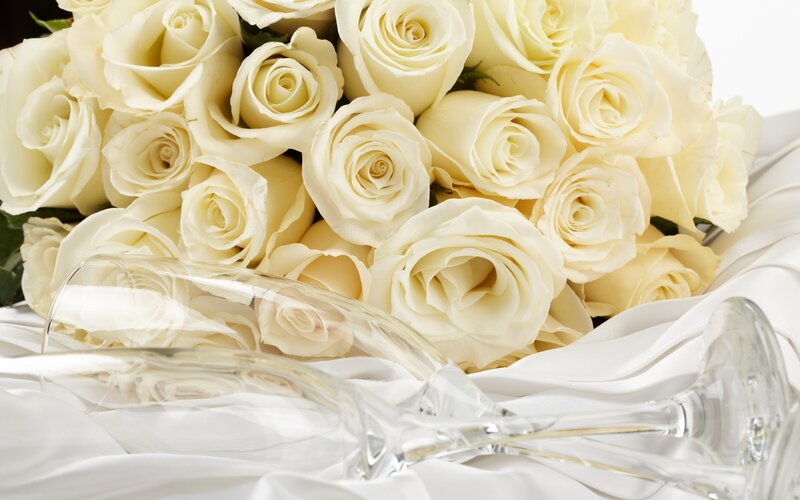 Bouquet of White Roses — Elegant