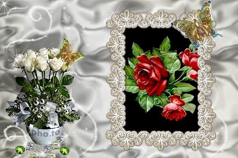 Bouquet of White Roses — Festive
