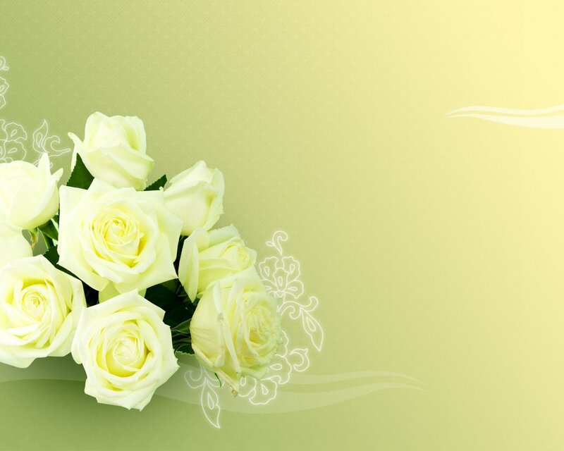 Bouquet of White Roses — Green, Calm, Photograph