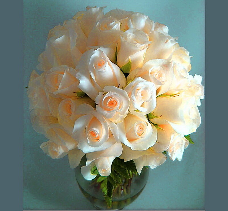 Bouquet of White Roses — Serene, Photograph, Vase