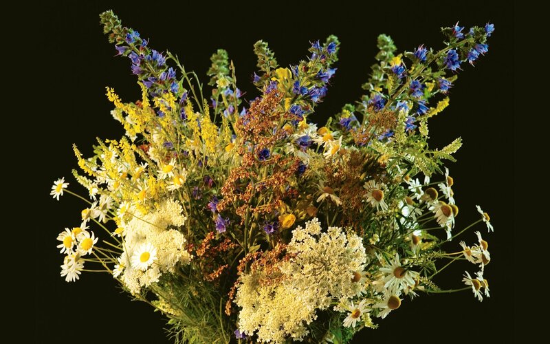 bouquet of wildflowers