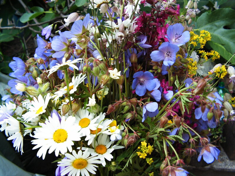bouquet of wildflowers