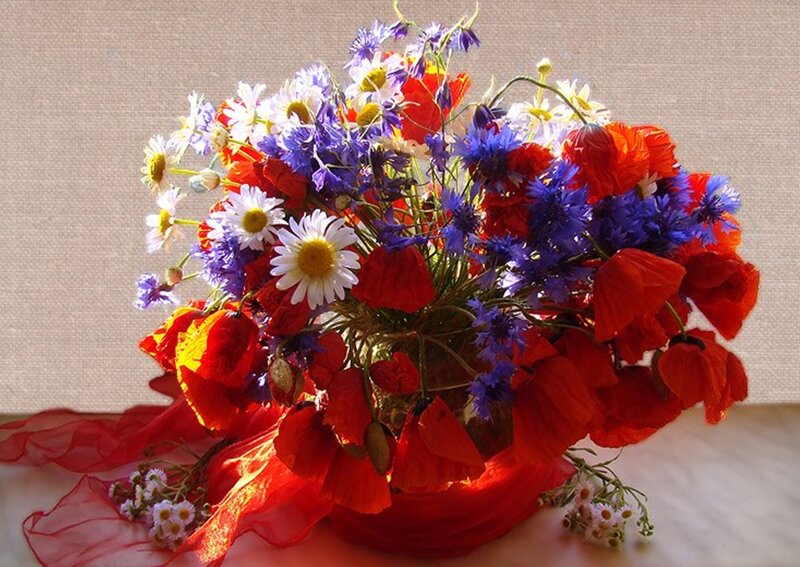 Bouquet of Wildflowers — Red, Bright