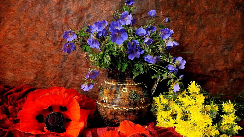 Bouquet of Wildflowers — Red, Calm, Photograph