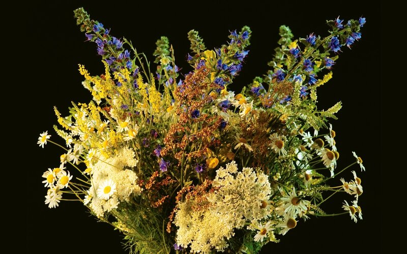 bouquet of wildflowers
