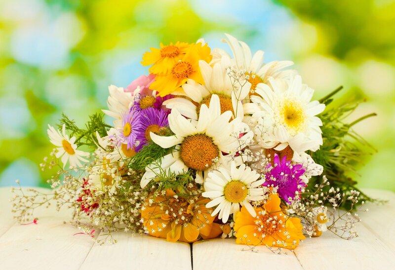 Bouquet of Wildflowers — White, Bright, Spring, Photograph, Daisies
