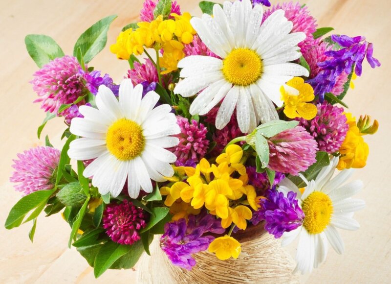 Bouquet of Wildflowers — White, Bright, Spring