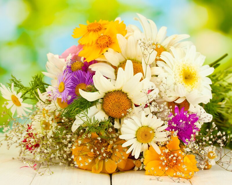 Bouquet of Wildflowers — White, Bright