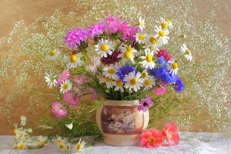 Bouquet of Wildflowers — White, Calm, Spring