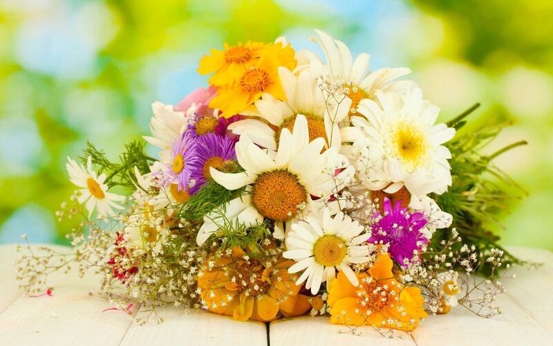 Bouquet of Wildflowers — White, Calm, Summer
