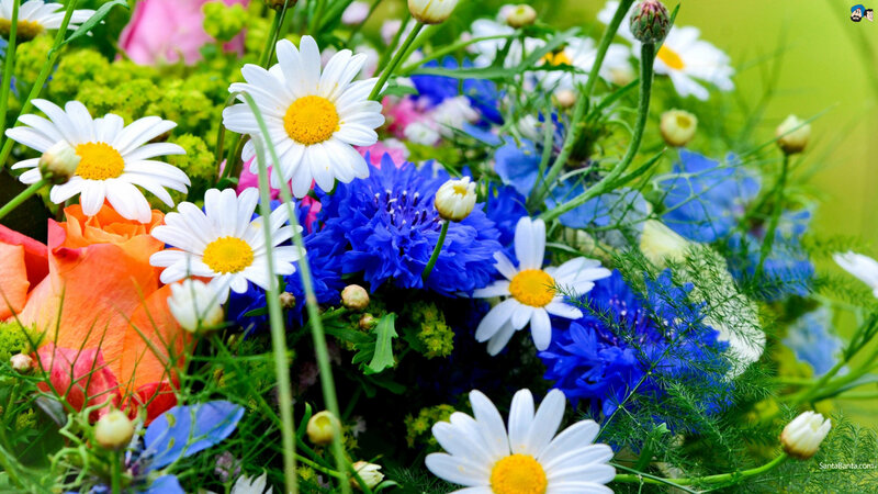 Bouquet of Wildflowers — White, Vibrant, Spring