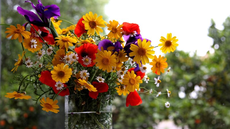 Bouquet of Wildflowers — Yellow, Bright, Afternoon