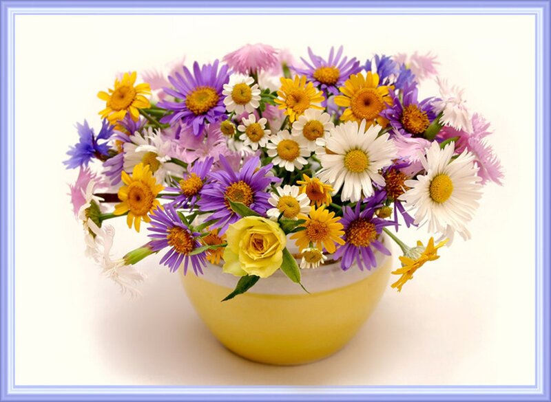 Bouquet of Wildflowers — Yellow, Calm, Spring, Photograph