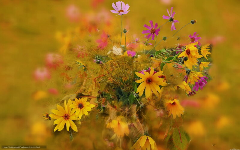 Bouquet of Wildflowers — Yellow, Serene, Autumn