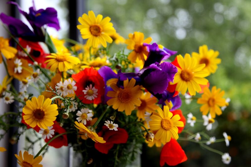 Bouquet of Wildflowers — Yellow, Vibrant