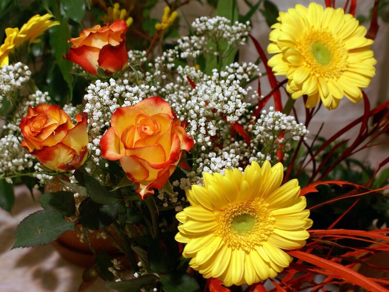 Bouquet of Yellow and Orange Flowers — Calm