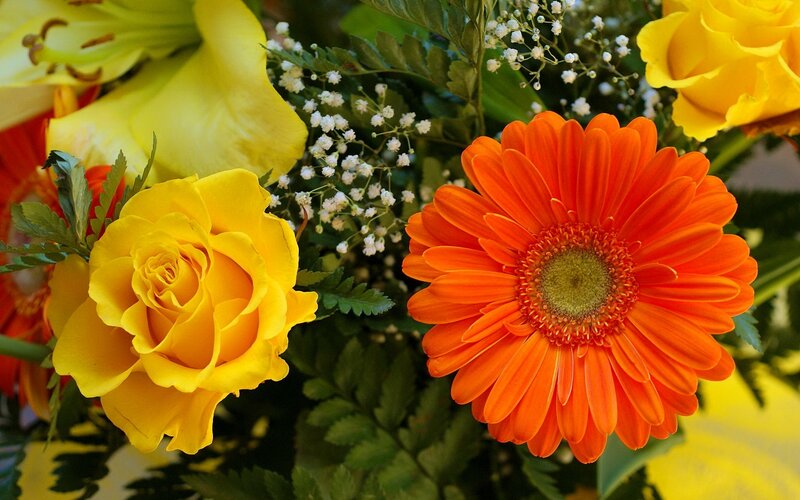 Bouquet of Yellow and Orange Flowers — Vibrant