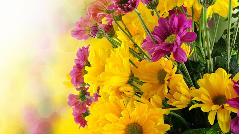 Bouquet of Yellow and Pink Flowers — Bright