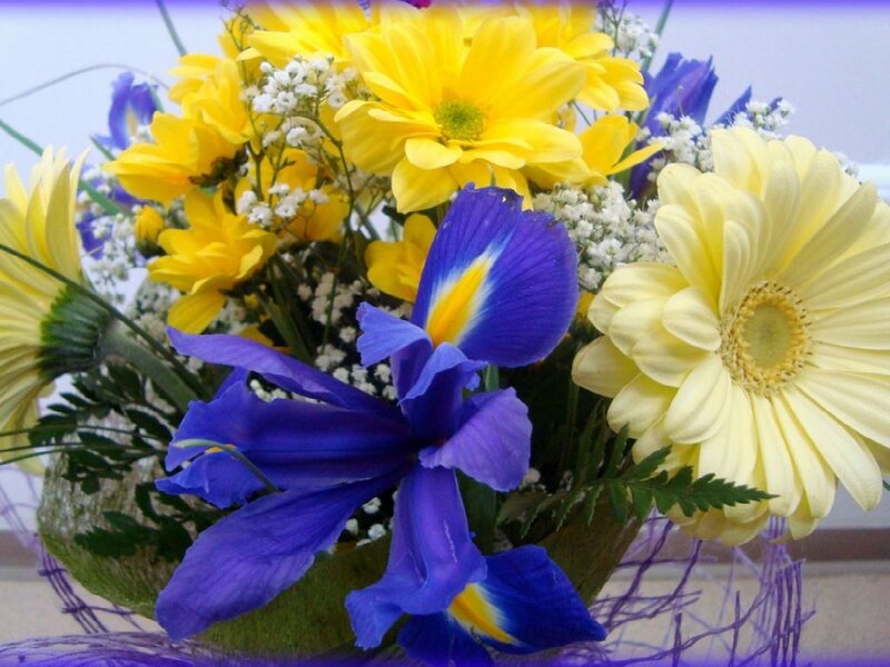 Bouquet of Yellow and Purple Flowers — Bright