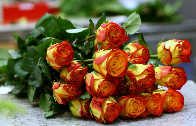 Bouquet of Yellow and Red Roses — Calm