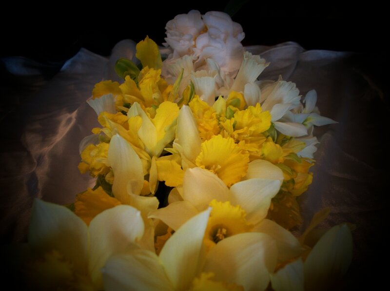 bouquet of yellow and white daffodils