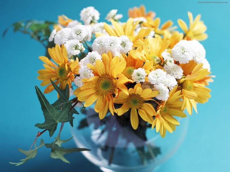 Bouquet of Yellow and White Flowers — Calm