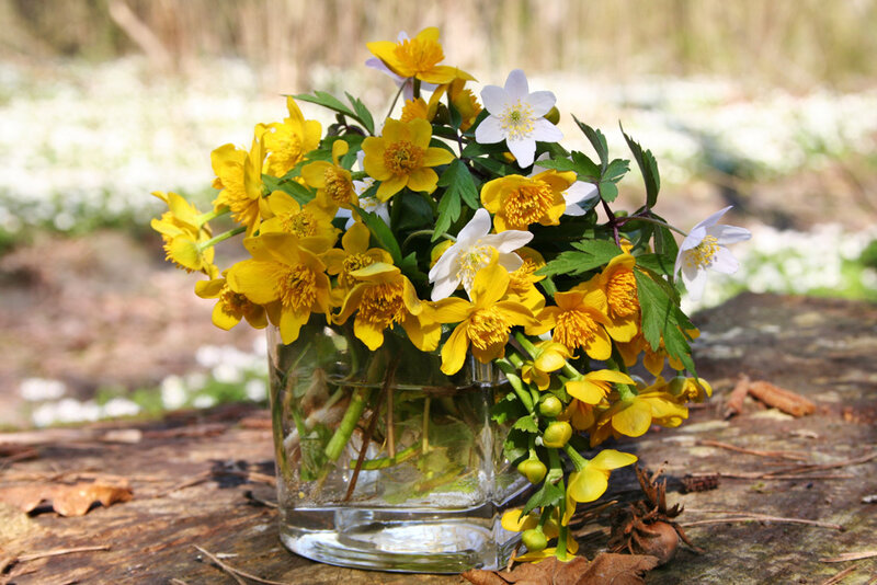 Bouquet of Yellow and White Flowers — Serene