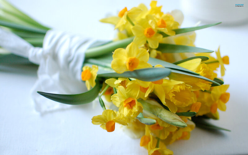 Bouquet of Yellow Daffodils — Calm, Spring