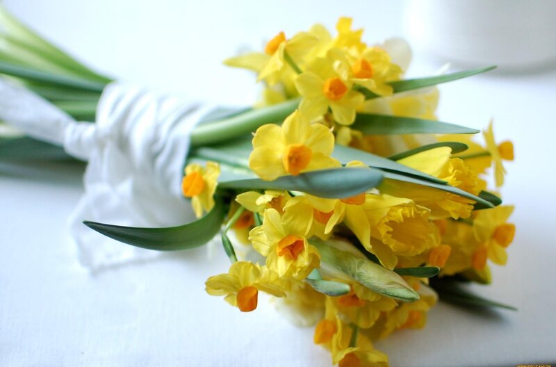 bouquet of yellow daffodils