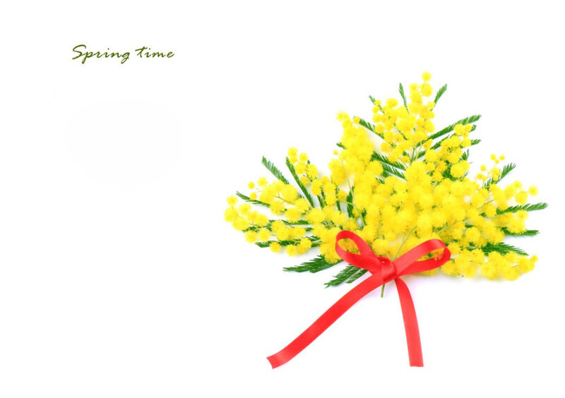 Bouquet of Yellow Flowers — Calm, Spring