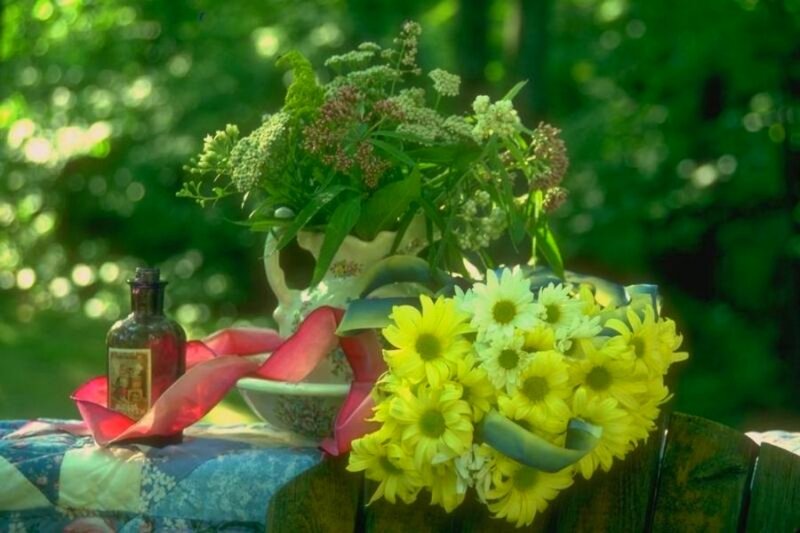 Bouquet of Yellow Flowers — Serene, Afternoon