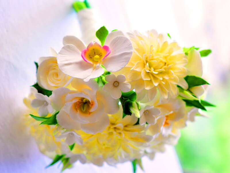 Bouquet of Yellow Flowers — Serene, Morning
