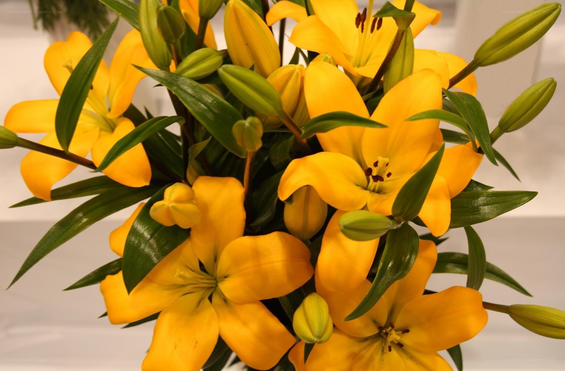 bouquet of yellow lilies