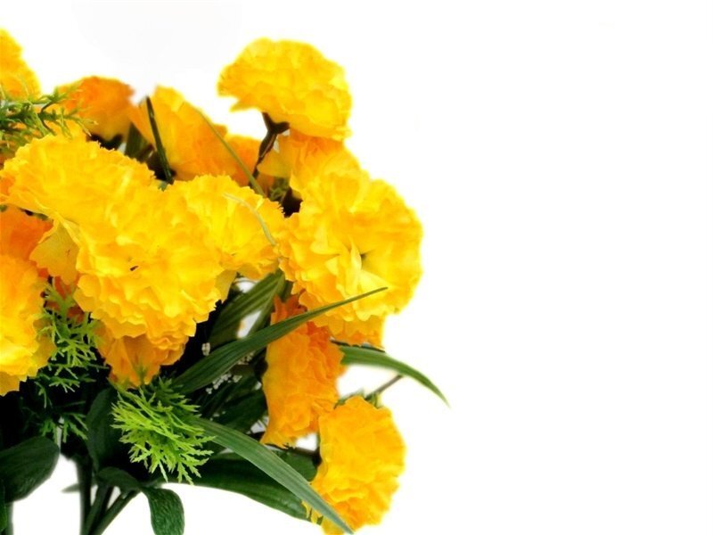 Bouquet of Yellow Marigolds — Bright