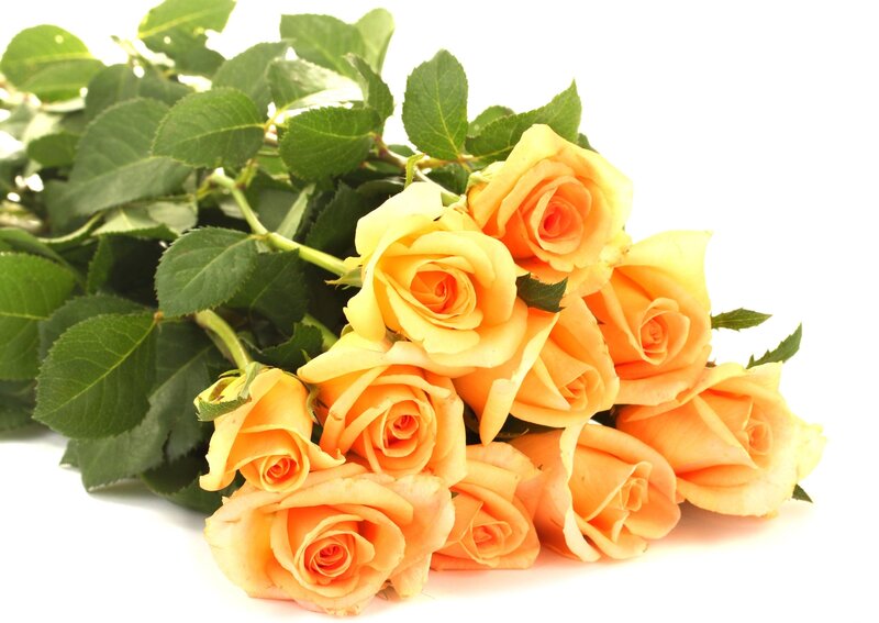 bouquet of yellow roses