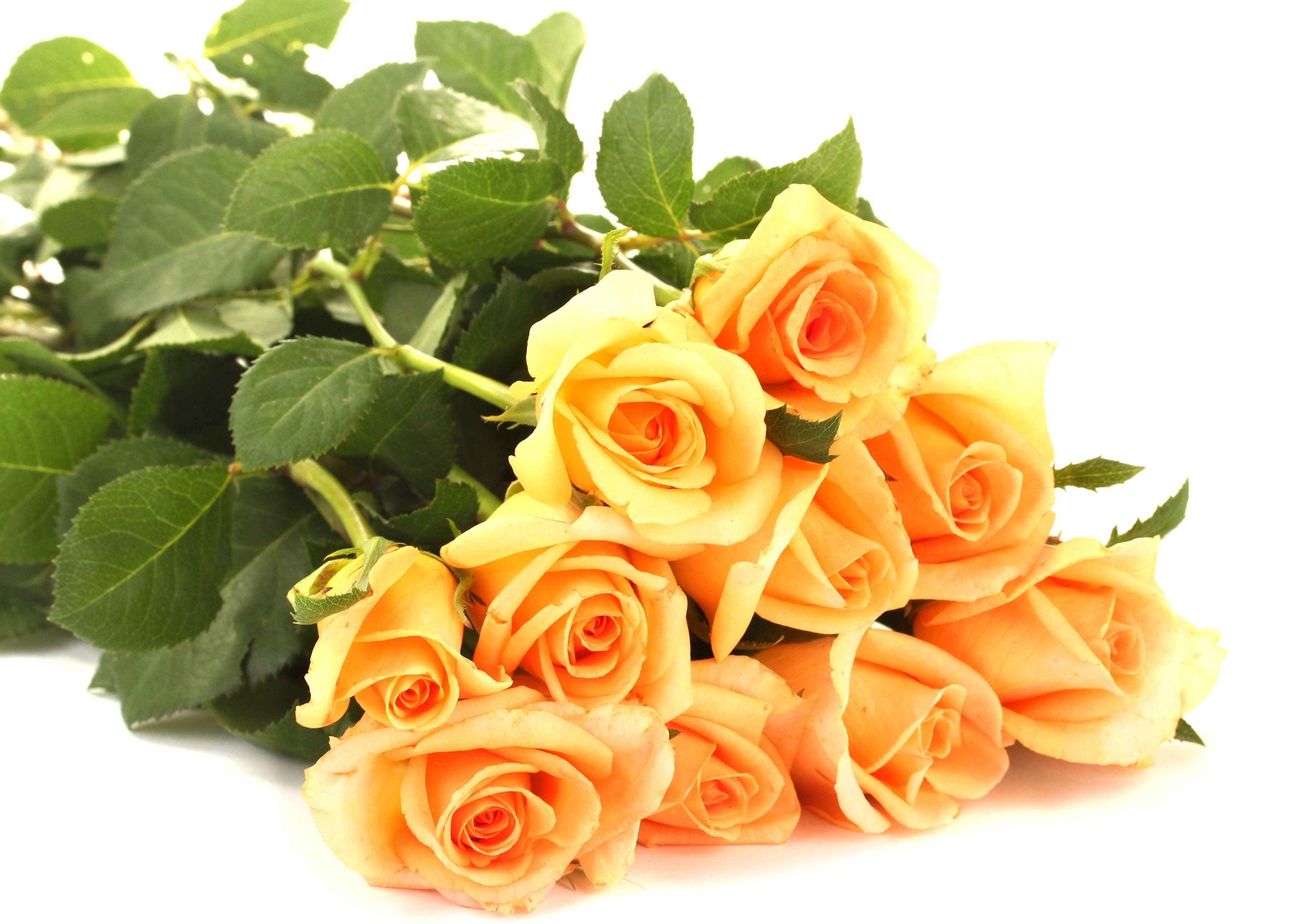 bouquet of yellow roses
