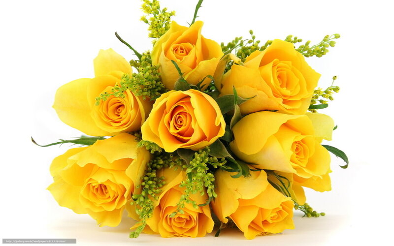 bouquet of yellow roses