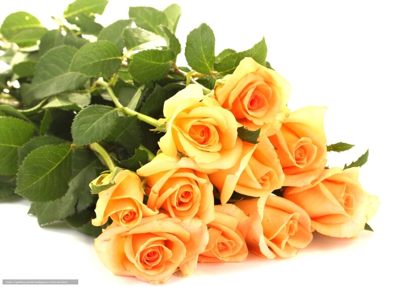 bouquet of yellow roses