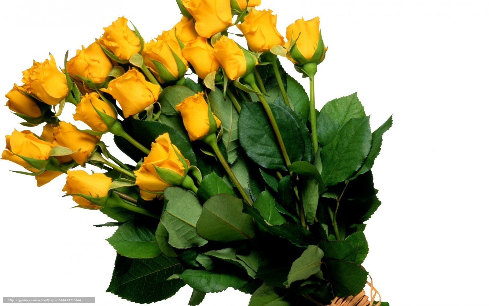 bouquet of yellow roses